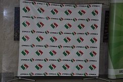 Выбрана республиканская Королева Весна - 2013 